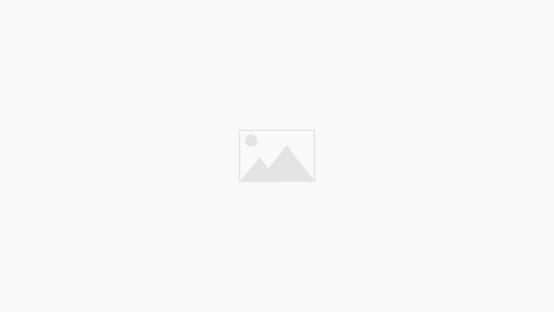 Nuevo curso